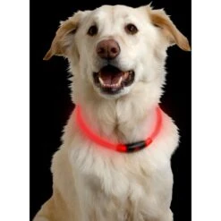 Nitehowl LED Safety Necklace -All Outdoor Shop go 317476 z