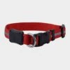 Nite Dawg II LED Collar (Large) -All Outdoor Shop go 319396 a