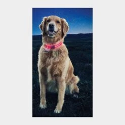 Nite Dawg II LED Collar (Large) 6 Nite Dawg II LED Collar (Large) -All Outdoor Shop go 319396 b