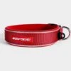 Classic Neo Dog Collar (XS) -All Outdoor Shop go 321257 a
