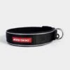 Classic Neo Dog Collar (Small) 1 Classic Neo Dog Collar (Small) -All Outdoor Shop go 321258 a