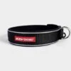 Classic Neo Dog Collar (XL) -All Outdoor Shop go 321266 a