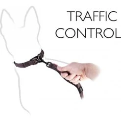 Zero Shock Dog Lead (48") -All Outdoor Shop go 321284 b