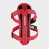 Chest Plate Harness Red 2 Chest Plate Harness Red -All Outdoor Shop go 321303 a