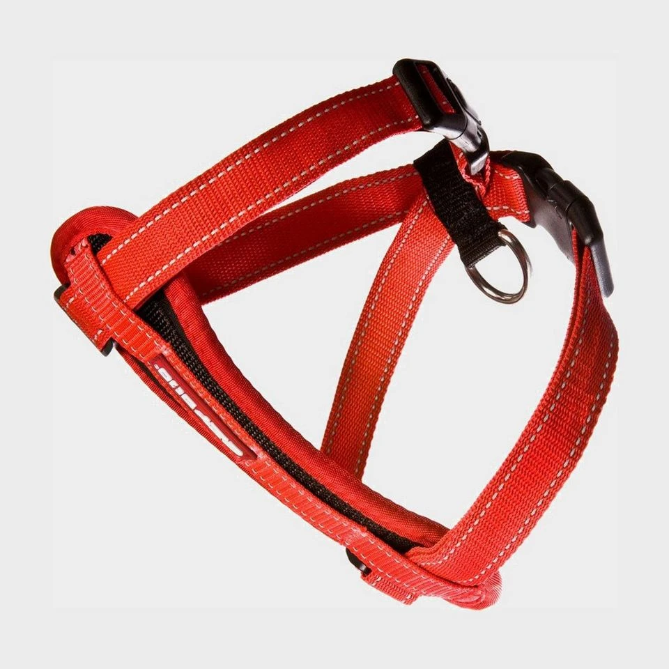 Chest Plate Harness Red 4 Chest Plate Harness Red - Image 2