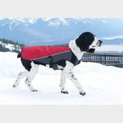 Element Dog Jacket (Medium) -All Outdoor Shop go 321335 b
