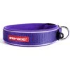 Classic Neo Dog Collar Pruple -All Outdoor Shop go 321357 a