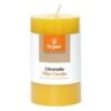 Citronella Pillar Candle -All Outdoor Shop go 329462 a