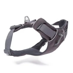 Ruffwear Front Range™ Harness -All Outdoor Shop go 376053 z