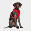 Ruffwear Front Range Dog Harness Red -All Outdoor Shop go 376054 a