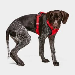 Ruffwear Front Range Dog Harness Red 9 Ruffwear Front Range Dog Harness Red -All Outdoor Shop go 376054 b