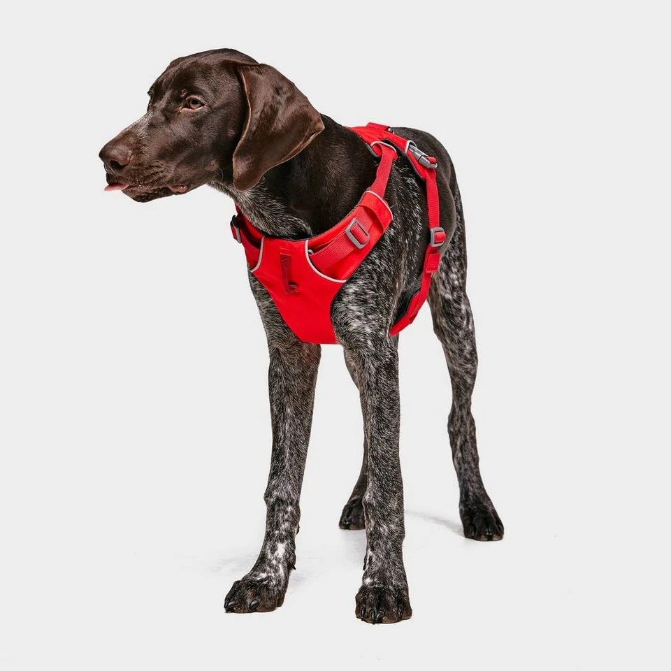 Ruffwear Front Range Dog Harness Red 5 Ruffwear Front Range Dog Harness Red - Image 3