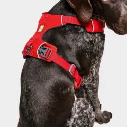 Ruffwear Front Range Dog Harness Red 11 Ruffwear Front Range Dog Harness Red -All Outdoor Shop go 376054 d