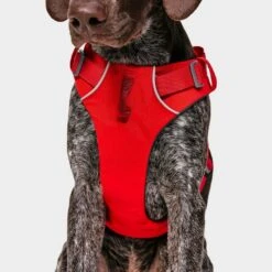 Ruffwear Front Range Dog Harness Red 12 Ruffwear Front Range Dog Harness Red -All Outdoor Shop go 376054 e
