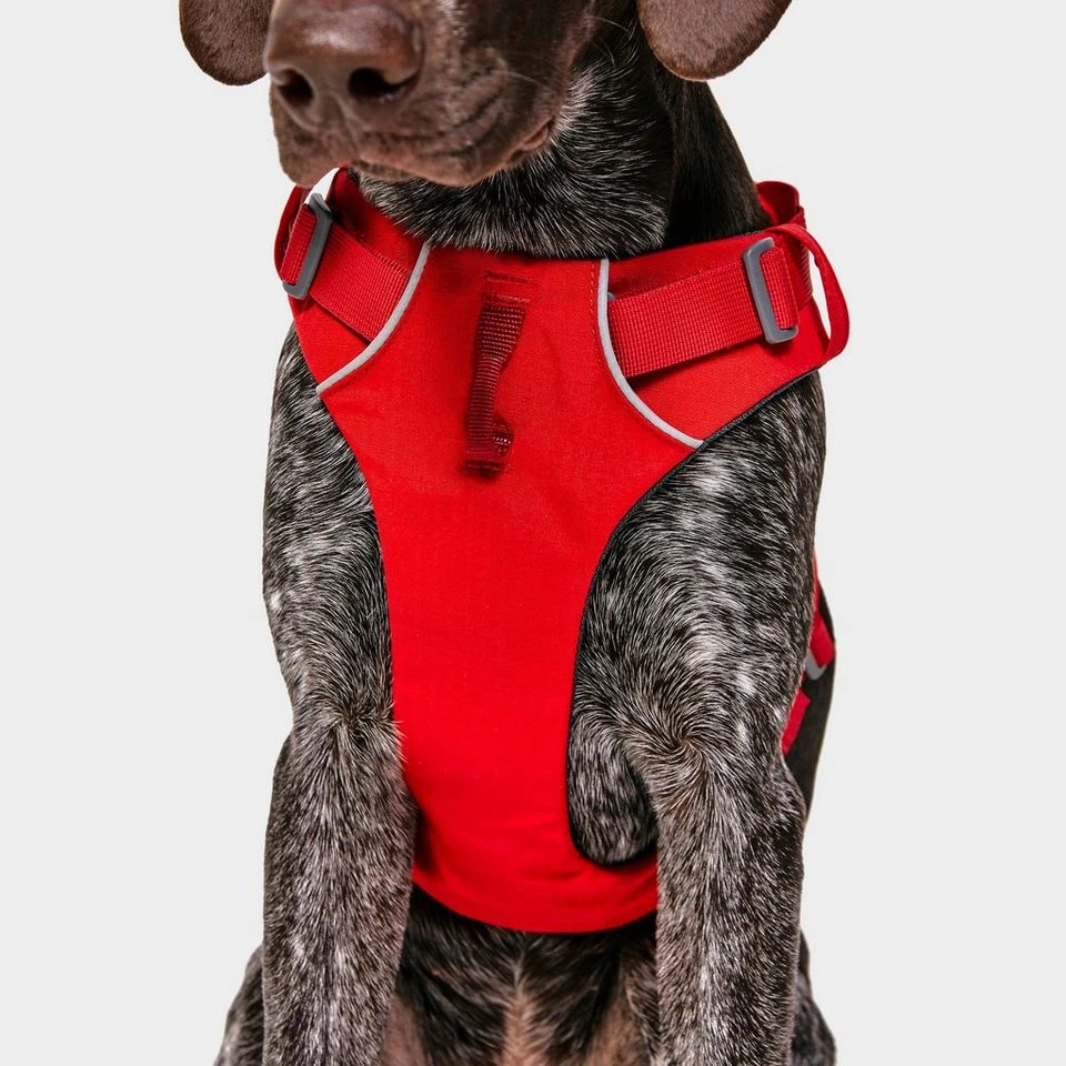 Ruffwear Front Range Dog Harness Red 7 Ruffwear Front Range Dog Harness Red - Image 5