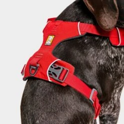 Ruffwear Front Range Dog Harness Red 13 Ruffwear Front Range Dog Harness Red -All Outdoor Shop go 376054 f