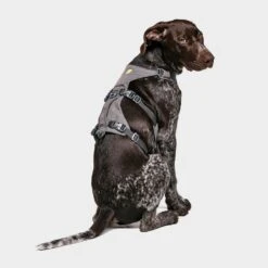 Ruffwear Flagline Dog Harness -All Outdoor Shop go 376056 b