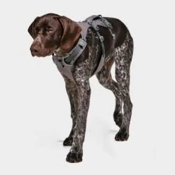 Ruffwear Flagline Dog Harness -All Outdoor Shop go 376056 c