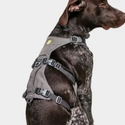 Ruffwear Flagline Dog Harness -All Outdoor Shop go 376056 e