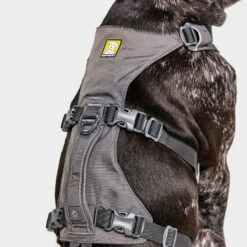 Ruffwear Flagline Dog Harness -All Outdoor Shop go 376056 f