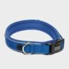 Classic Neo Dog Collar Ble -All Outdoor Shop go 381776 a