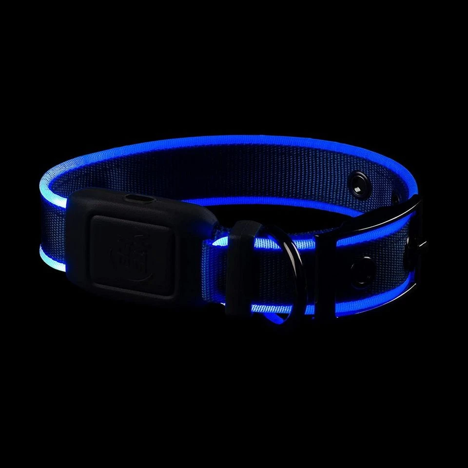 Nitedog LED Rechargeable Collar Blu 5 Nitedog LED Rechargeable Collar Blu - Image 3