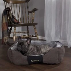 Scruffs Chester Dog Bed Large 8 Scruffs Chester Dog Bed Large -All Outdoor Shop go 478450 b