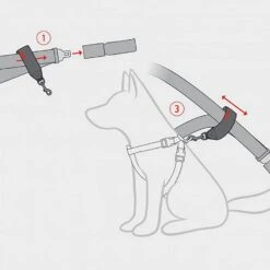 Dog Seat Belt Restraint -All Outdoor Shop go 498398 c