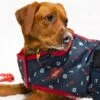 Christmas Waterproof Dog Coat 1 Christmas Waterproof Dog Coat -All Outdoor Shop go 517282 a