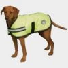 Weatherbeeta Comfitec Reflective Insulated Dog Coat -All Outdoor Shop go 517456 a