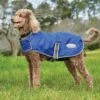 Weatherbeeta Comfitec Windbreaker Free Dog Coat 2 Weatherbeeta Comfitec Windbreaker Free Dog Coat -All Outdoor Shop go 517485 a