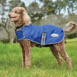 Weatherbeeta Comfitec Windbreaker Free Dog Coat 9 Weatherbeeta Comfitec Windbreaker Free Dog Coat -All Outdoor Shop go 517485 z
