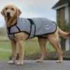 Weatherbeeta Comfitec Reflective Dog Coat Medium -All Outdoor Shop go 517551 a