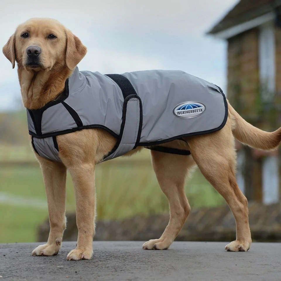 Weatherbeeta Comfitec Reflective Dog Coat Medium 3 Weatherbeeta Comfitec Reflective Dog Coat Medium