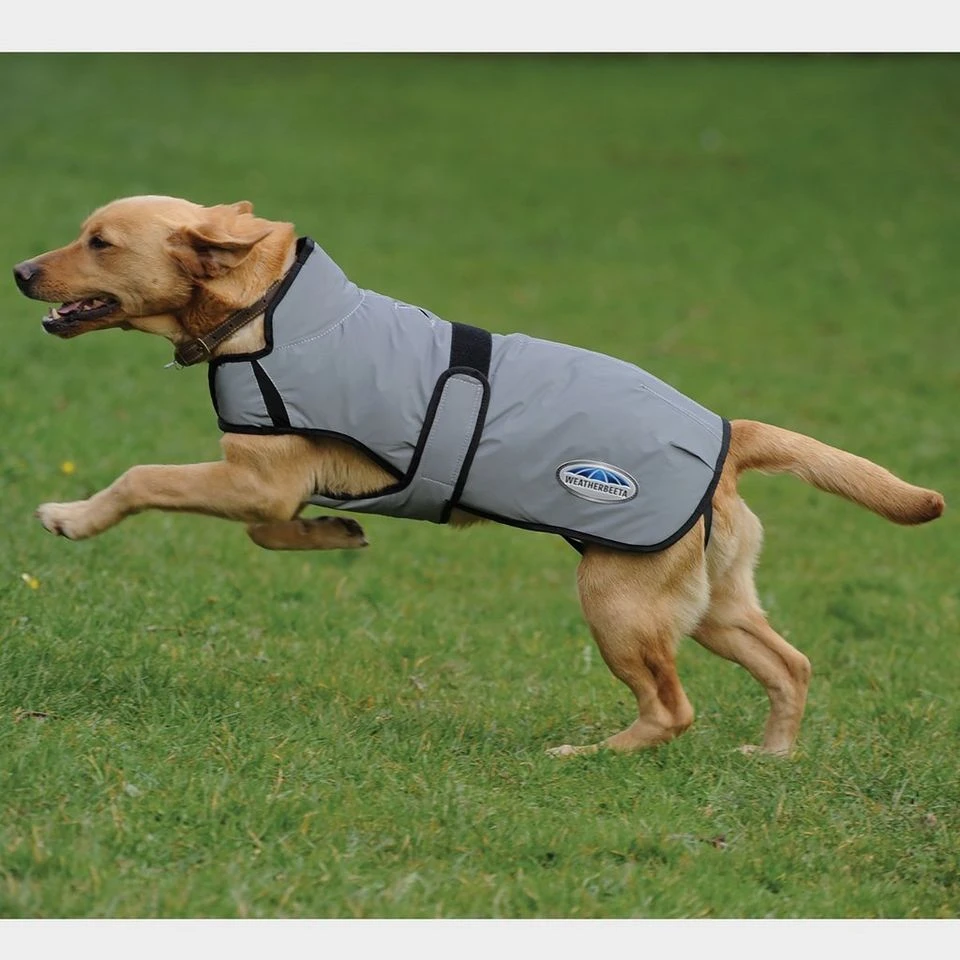 Weatherbeeta Comfitec Reflective Dog Coat Medium 4 Weatherbeeta Comfitec Reflective Dog Coat Medium - Image 2
