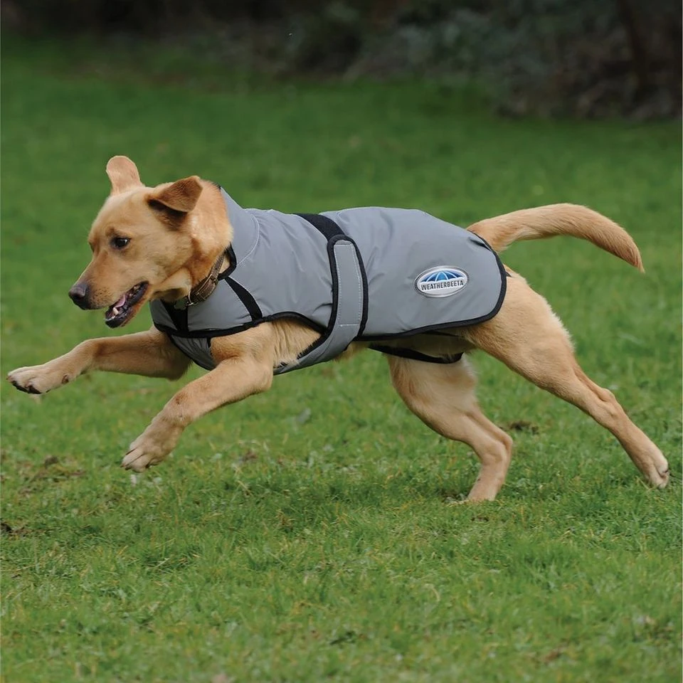 Weatherbeeta Comfitec Reflective Dog Coat Medium 5 Weatherbeeta Comfitec Reflective Dog Coat Medium - Image 3