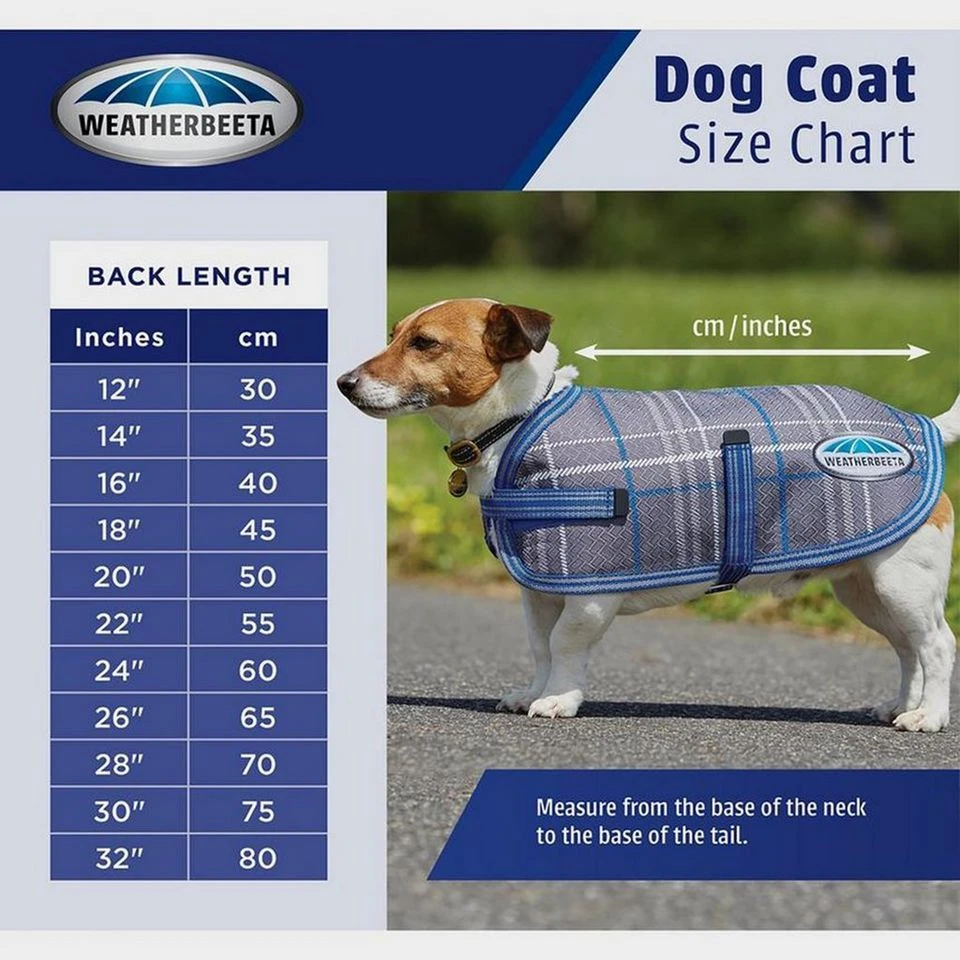 Weatherbeeta Comfitec Reflective Dog Coat Medium 6 Weatherbeeta Comfitec Reflective Dog Coat Medium - Image 4