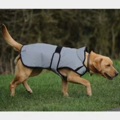 Weatherbeeta Comfitec Reflective Dog Coat Medium 16 Weatherbeeta Comfitec Reflective Dog Coat Medium -All Outdoor Shop go 517551 e