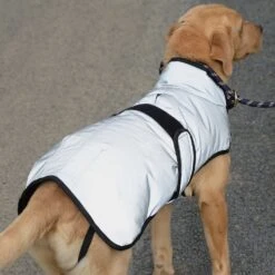 Weatherbeeta Comfitec Reflective Dog Coat Medium 17 Weatherbeeta Comfitec Reflective Dog Coat Medium -All Outdoor Shop go 517551 f