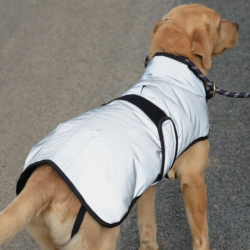 Weatherbeeta Comfitec Reflective Dog Coat Medium 8 Weatherbeeta Comfitec Reflective Dog Coat Medium - Image 6