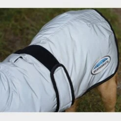 Weatherbeeta Comfitec Reflective Dog Coat Medium 19 Weatherbeeta Comfitec Reflective Dog Coat Medium -All Outdoor Shop go 517551 h