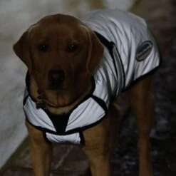 Weatherbeeta Comfitec Reflective Dog Coat Medium 20 Weatherbeeta Comfitec Reflective Dog Coat Medium -All Outdoor Shop go 517551 i