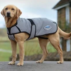 Weatherbeeta Comfitec Reflective Dog Coat Medium 21 Weatherbeeta Comfitec Reflective Dog Coat Medium -All Outdoor Shop go 517551 z
