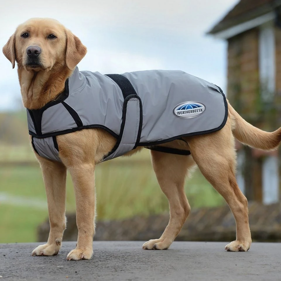 Weatherbeeta Comfitec Reflective Dog Coat Medium 12 Weatherbeeta Comfitec Reflective Dog Coat Medium - Image 10