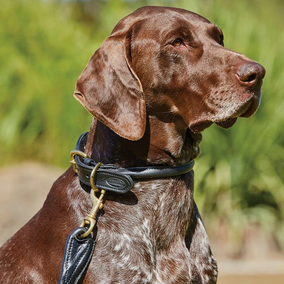 Weatherbeeta Rolled Leather Dog Lead 4 Weatherbeeta Rolled Leather Dog Lead - Image 2